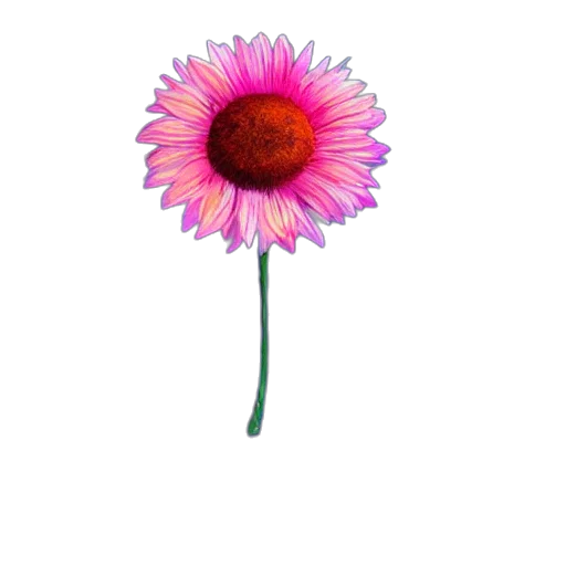 flower, staff, crown, weapon transparent PNG cut-out