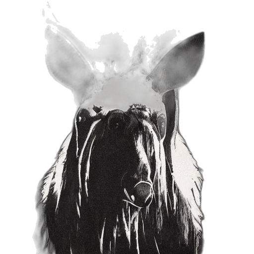 animal, crown, mask, hat transparent PNG cut-out