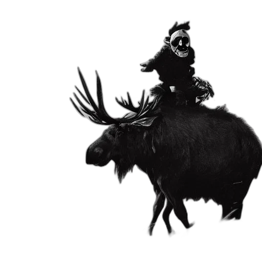 animal, crown, creature, hat transparent PNG cut-out