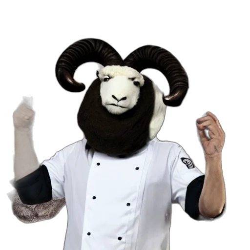staff, animal, food, creature transparent PNG cut-out