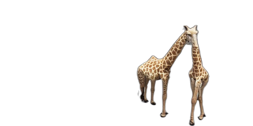 animal, creature, staff, furniture transparent PNG cut-out