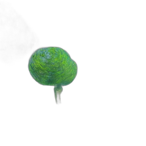 tree, umbrella, crown, hat transparent PNG cut-out