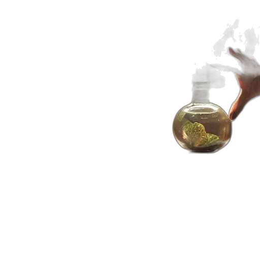 bottle, flower, dragon, weapon transparent PNG cut-out