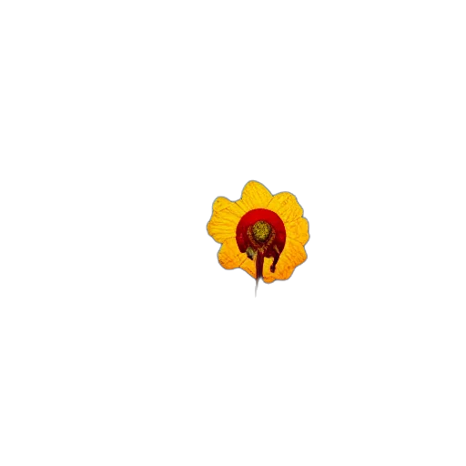 flower, crown, jewelry, staff transparent PNG cut-out