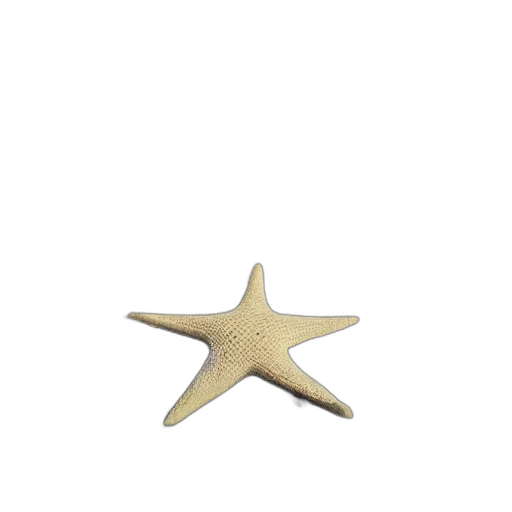 staff, jewelry, crown, hat transparent PNG cut-out