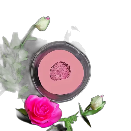 flower, photorealistic, 3d render, pastel transparent PNG cut-out