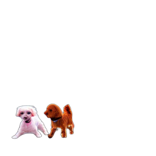 animal, creature, staff, hair transparent PNG cut-out