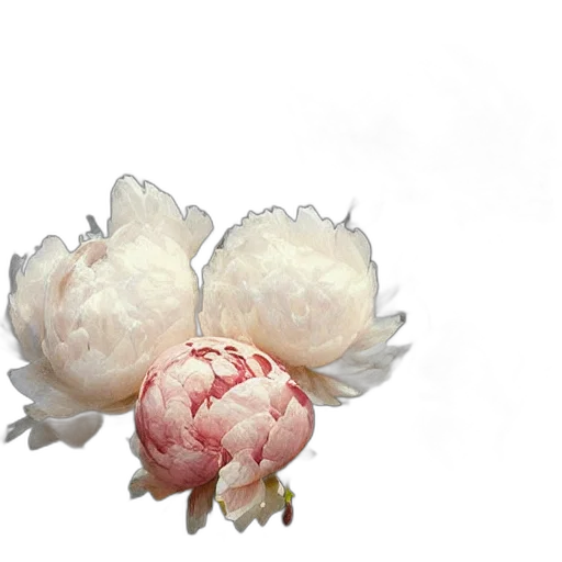 flower, crown, food, jewelry transparent PNG cut-out
