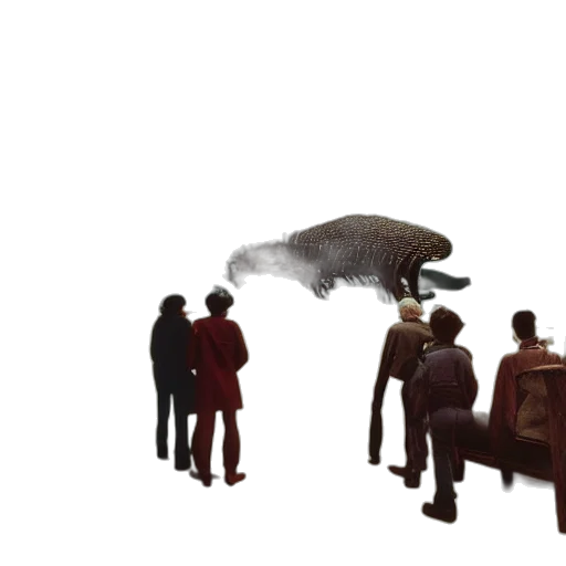 animal, creature, hat, food transparent PNG cut-out