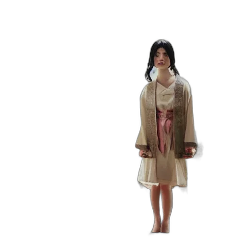 dress, jacket, 3d render, concept art transparent PNG cut-out