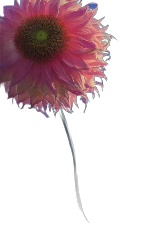 flower, crown, umbrella, staff transparent PNG cut-out