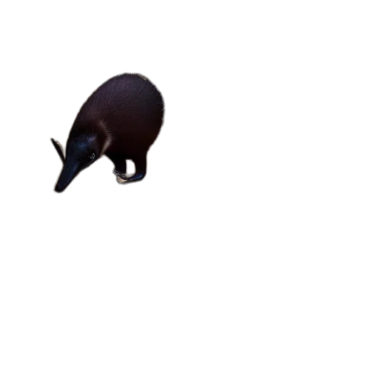 animal, creature, hat, mask transparent PNG cut-out