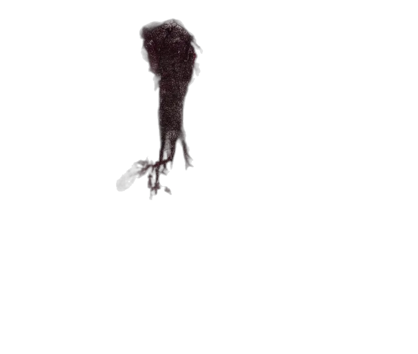 hair, creature, animal, staff transparent PNG cut-out
