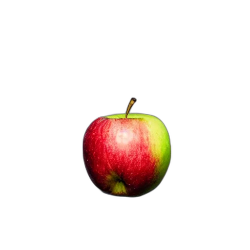 food, crown, tree, animal transparent PNG cut-out