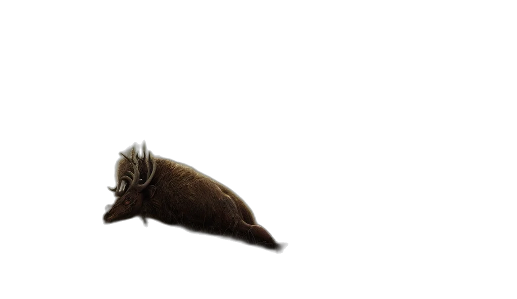 animal, creature, hair, weapon transparent PNG cut-out