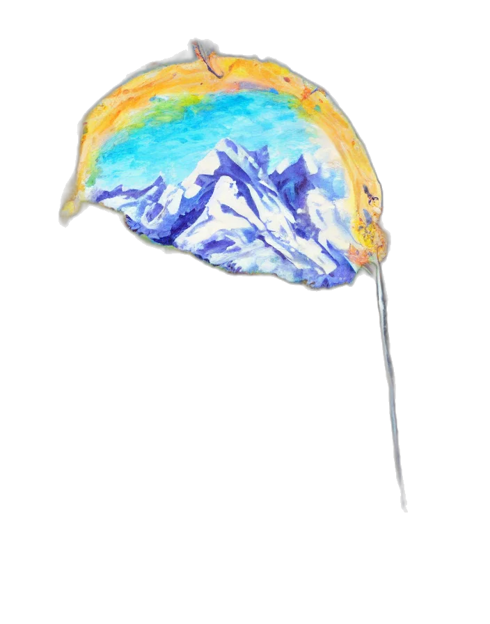 umbrella, hat, jacket, staff transparent PNG cut-out
