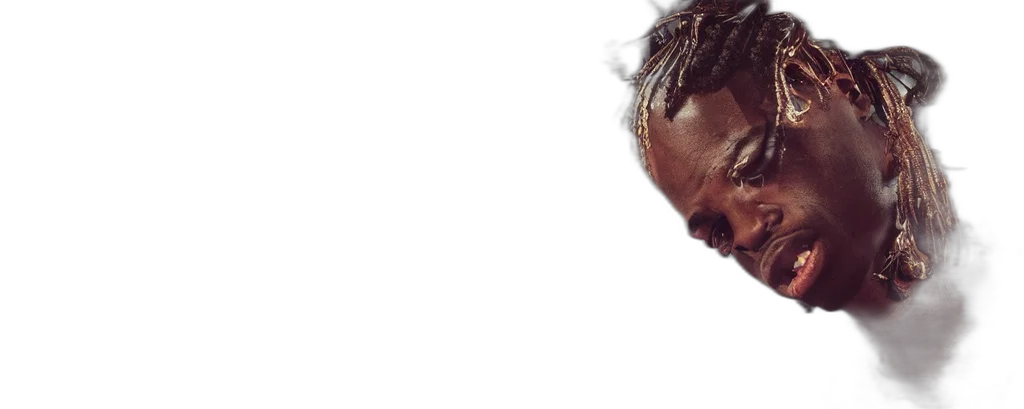 face, crown, photorealistic, travis transparent PNG cut-out