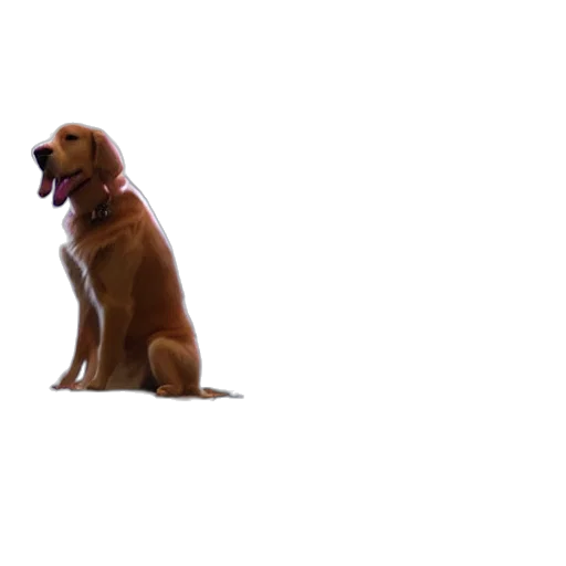 animal, staff, creature, weapon transparent PNG cut-out