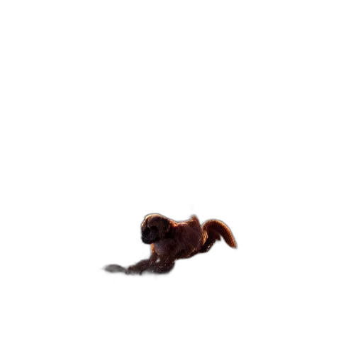animal, creature, hair, staff transparent PNG cut-out