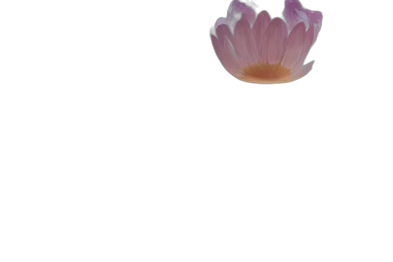 flower, crown, jewelry, mask transparent PNG cut-out