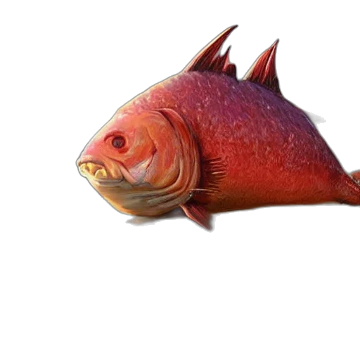animal, creature, staff, food transparent PNG cut-out