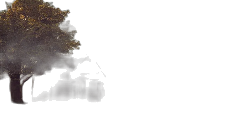 tree, dragon, car, crown transparent PNG cut-out