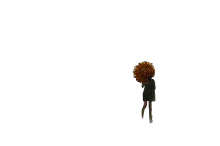 hair, dress, umbrella, staff transparent PNG cut-out