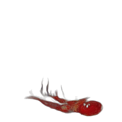 creature, animal, dragon, staff transparent PNG cut-out