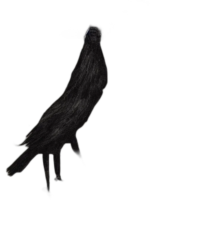 hair, animal, dress, creature transparent PNG cut-out