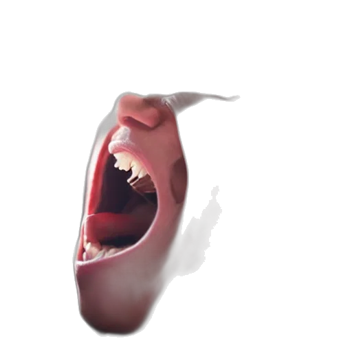 face, creature, mask, animal transparent PNG cut-out