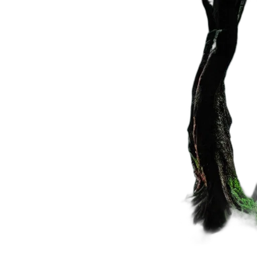 hair, shoes, staff, creature transparent PNG cut-out