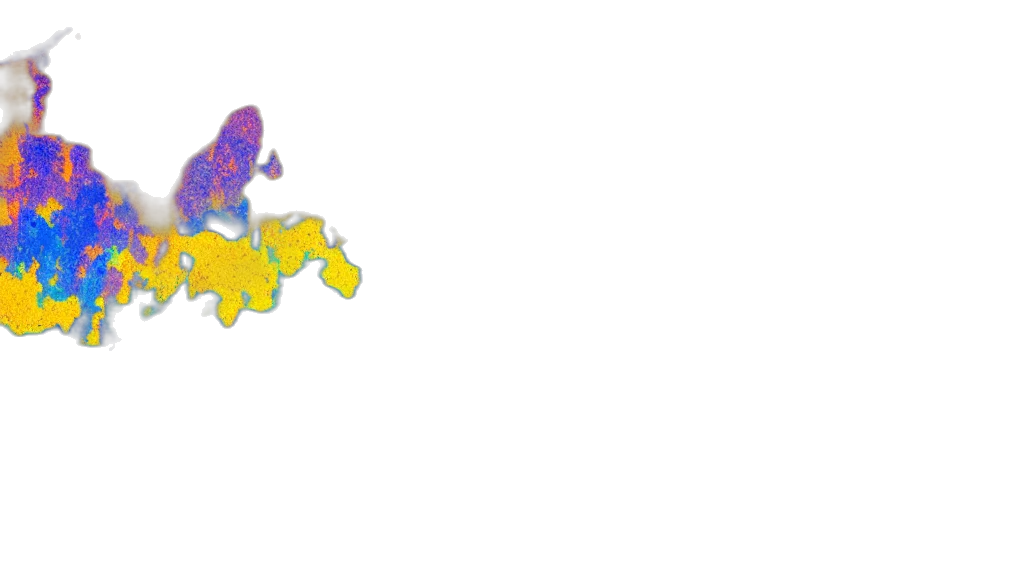 flower, umbrella, dragon, crown transparent PNG cut-out