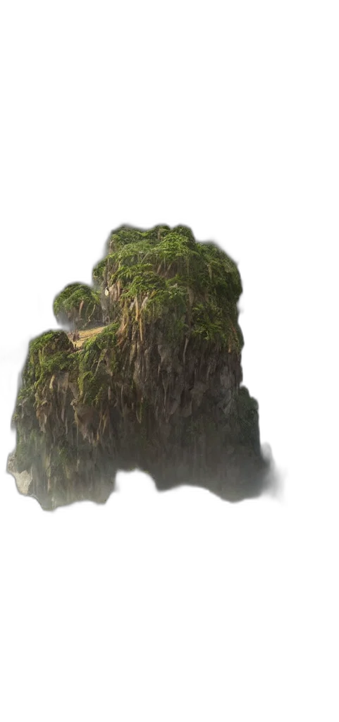 tree, hair, creature, dragon transparent PNG cut-out