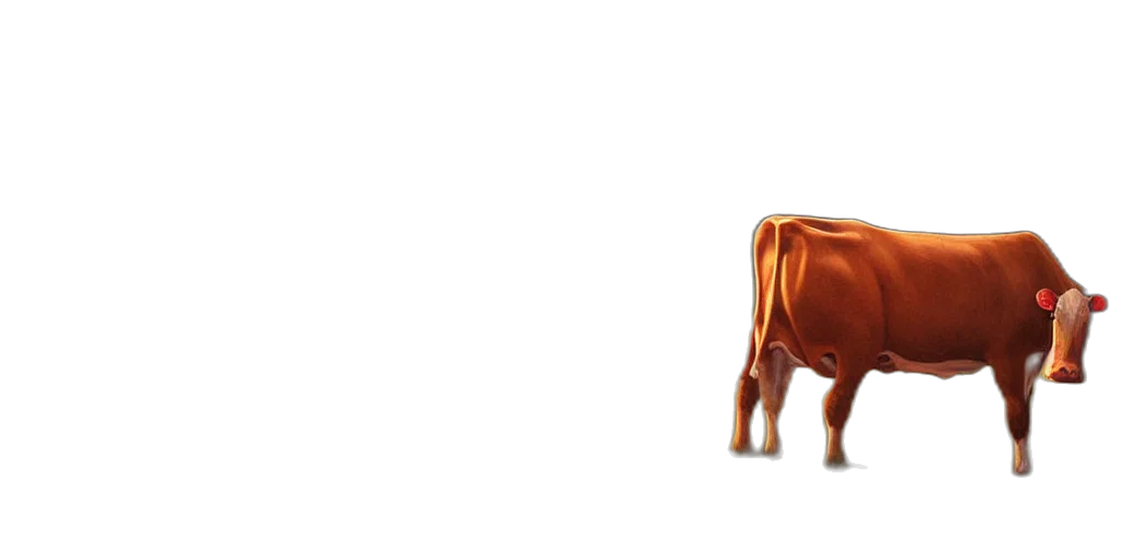 animal, food, furniture, creature transparent PNG cut-out
