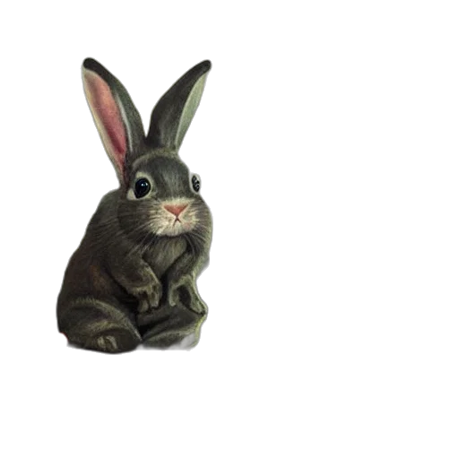 animal, creature, food, photorealistic transparent PNG cut-out