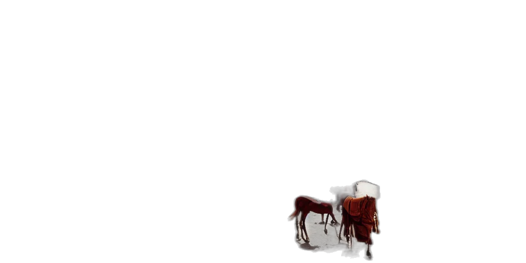 furniture, animal, food, creature transparent PNG cut-out