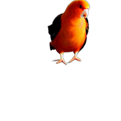 animal, crown, creature, staff transparent PNG cut-out