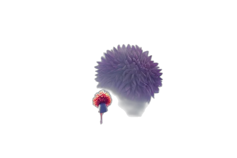 flower, hair, umbrella, crown transparent PNG cut-out