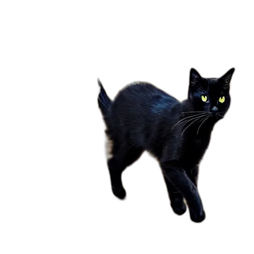 animal, creature, staff, weapon transparent PNG cut-out