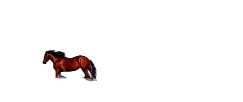 animal, creature, hair, bottle transparent PNG cut-out