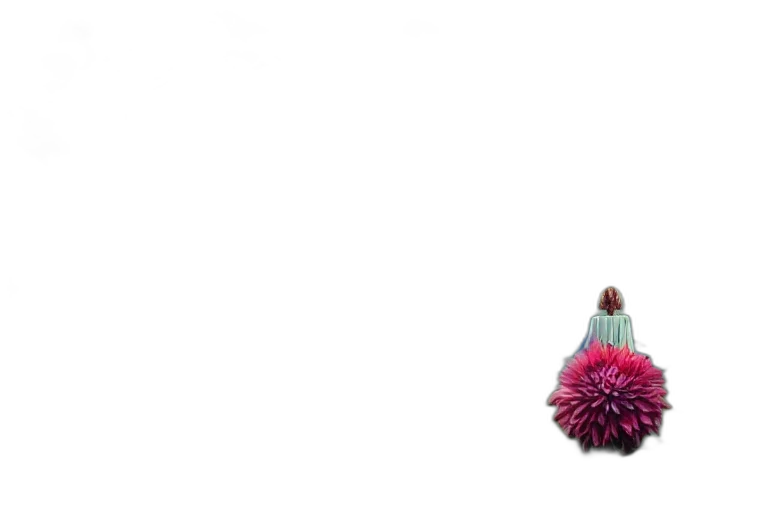 flower, umbrella, crown, bottle transparent PNG cut-out