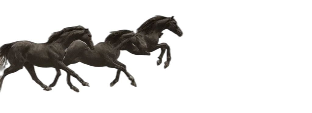 animal, dragon, hair, creature transparent PNG cut-out