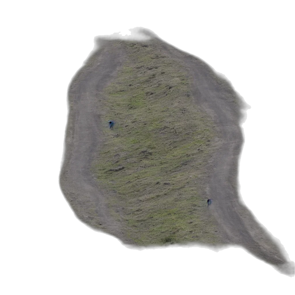 hair, hat, creature, face transparent PNG cut-out