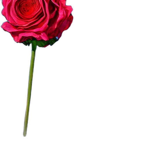 flower, staff, crown, weapon transparent PNG cut-out