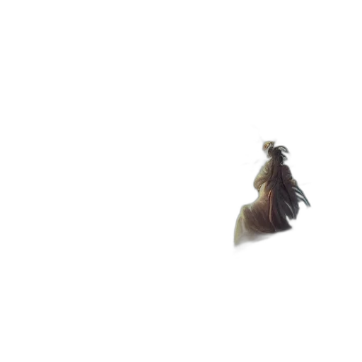 hair, animal, creature, crown transparent PNG cut-out