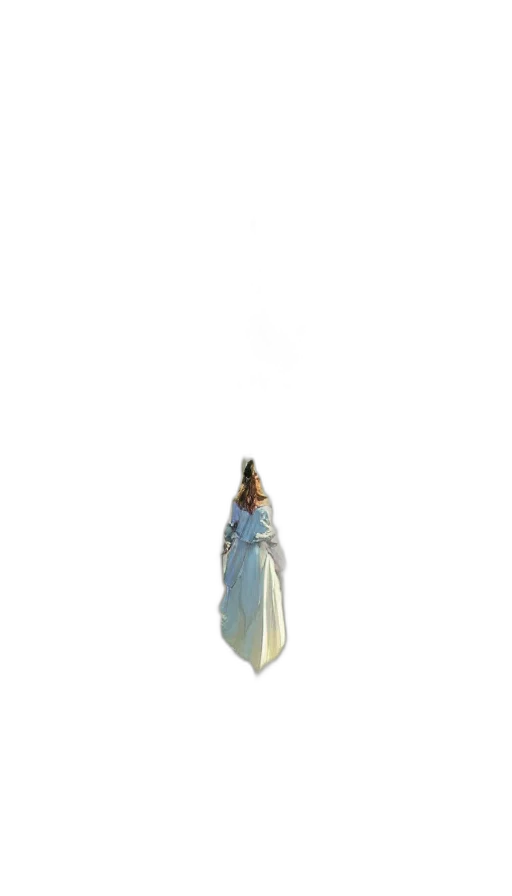 dress, sword, jewelry, bottle transparent PNG cut-out