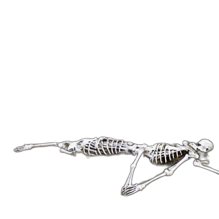 animal, jewelry, car, creature transparent PNG cut-out