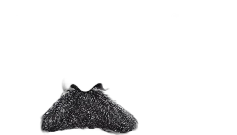 hat, hair, crown, animal transparent PNG cut-out