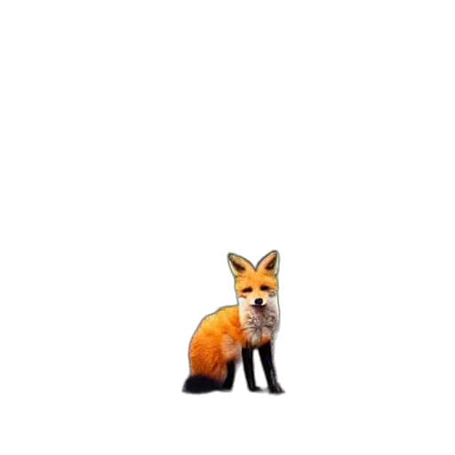 animal, creature, staff, robot transparent PNG cut-out