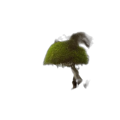 tree, hair, hat, creature transparent PNG cut-out